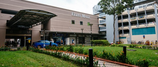 Elias Mall